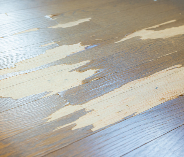 内装工事 - インテリア ハライチ