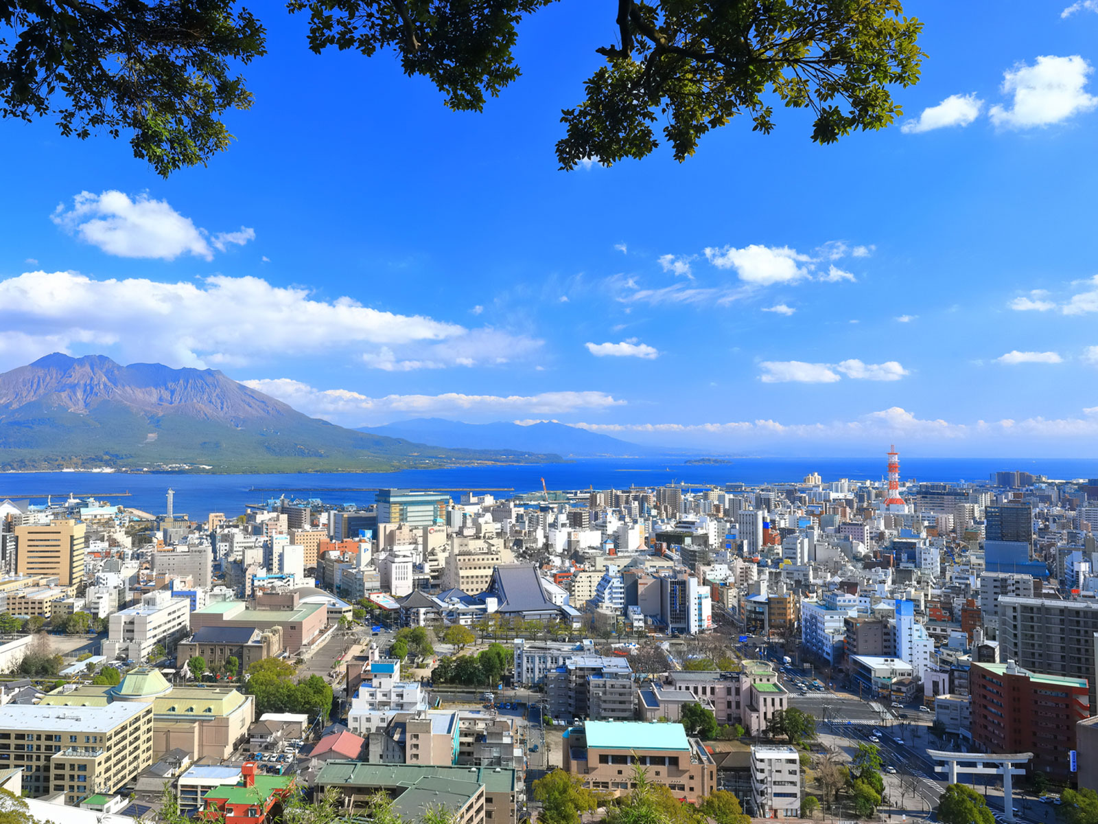 分譲地・土地探し - 日東商事有限会社