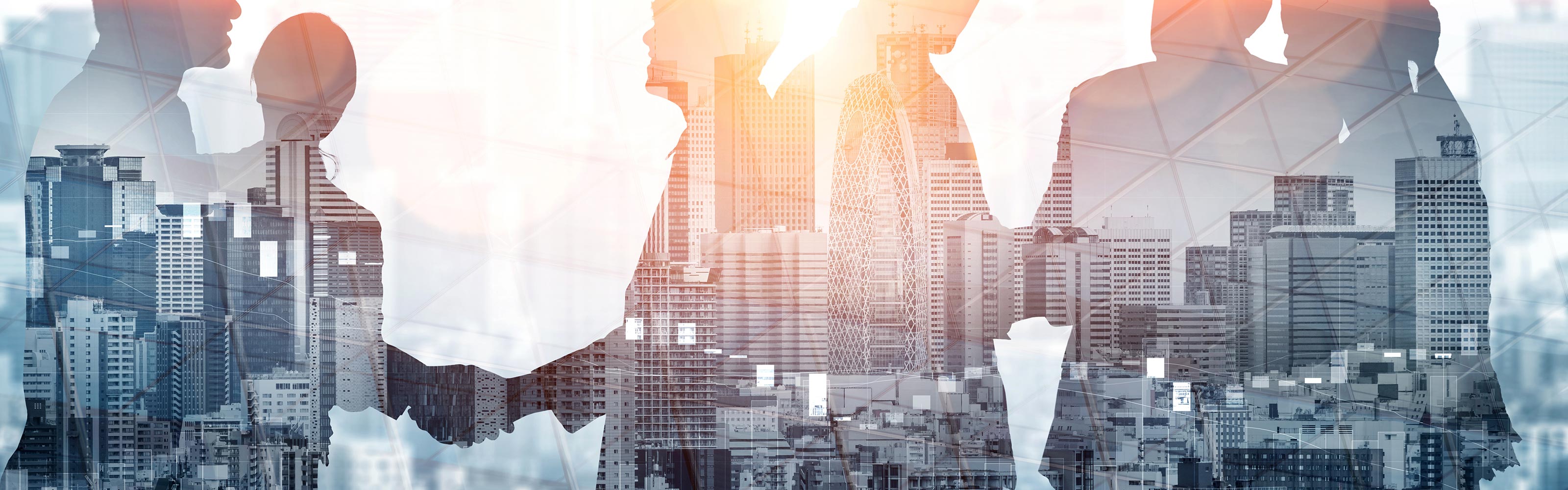 TOP - 行政書士白石成昭事務所