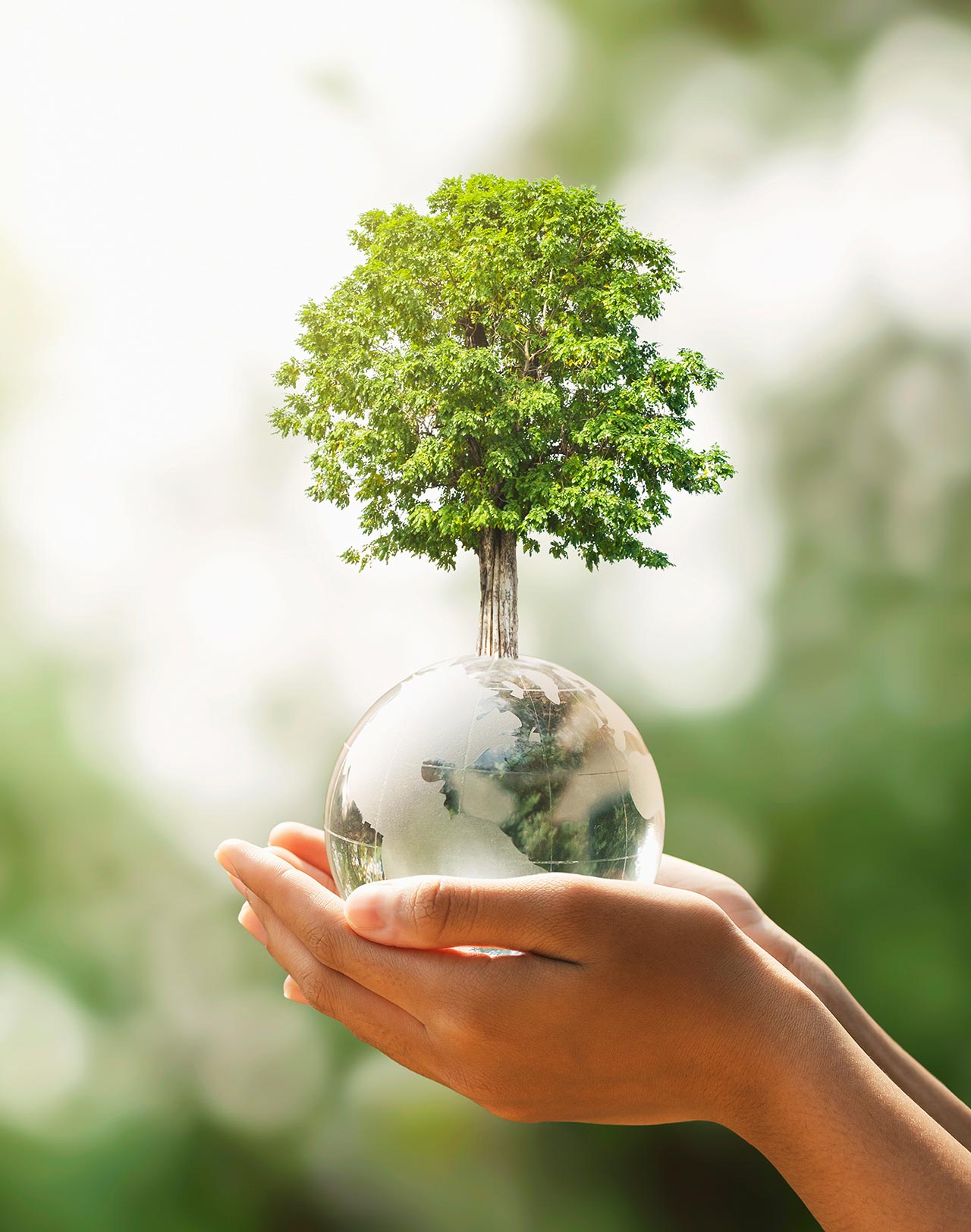 想いと約束 - 行政書士白石成昭事務所