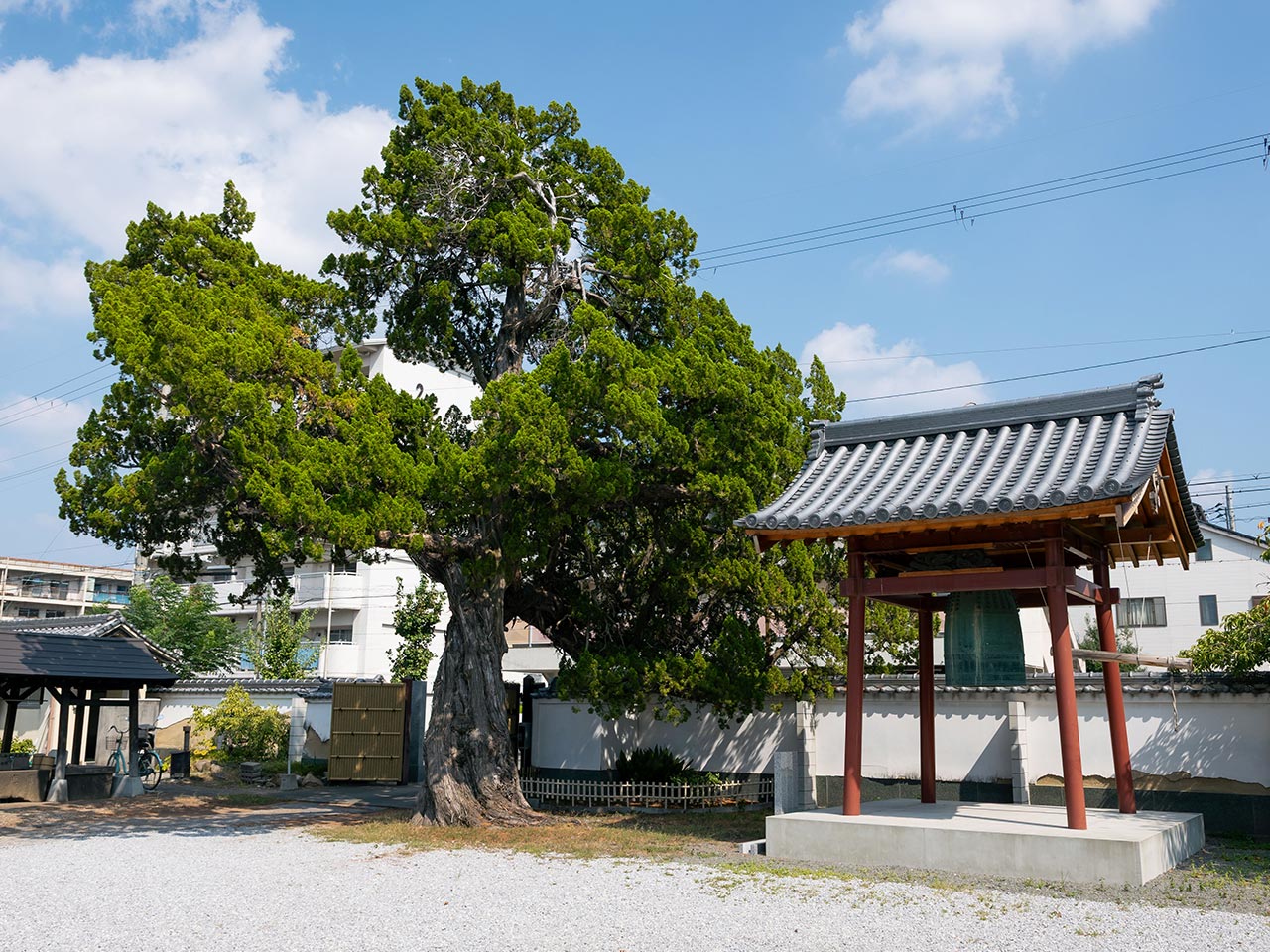 納骨壇 - 浄土真宗本願寺派 宝林山 圓光寺