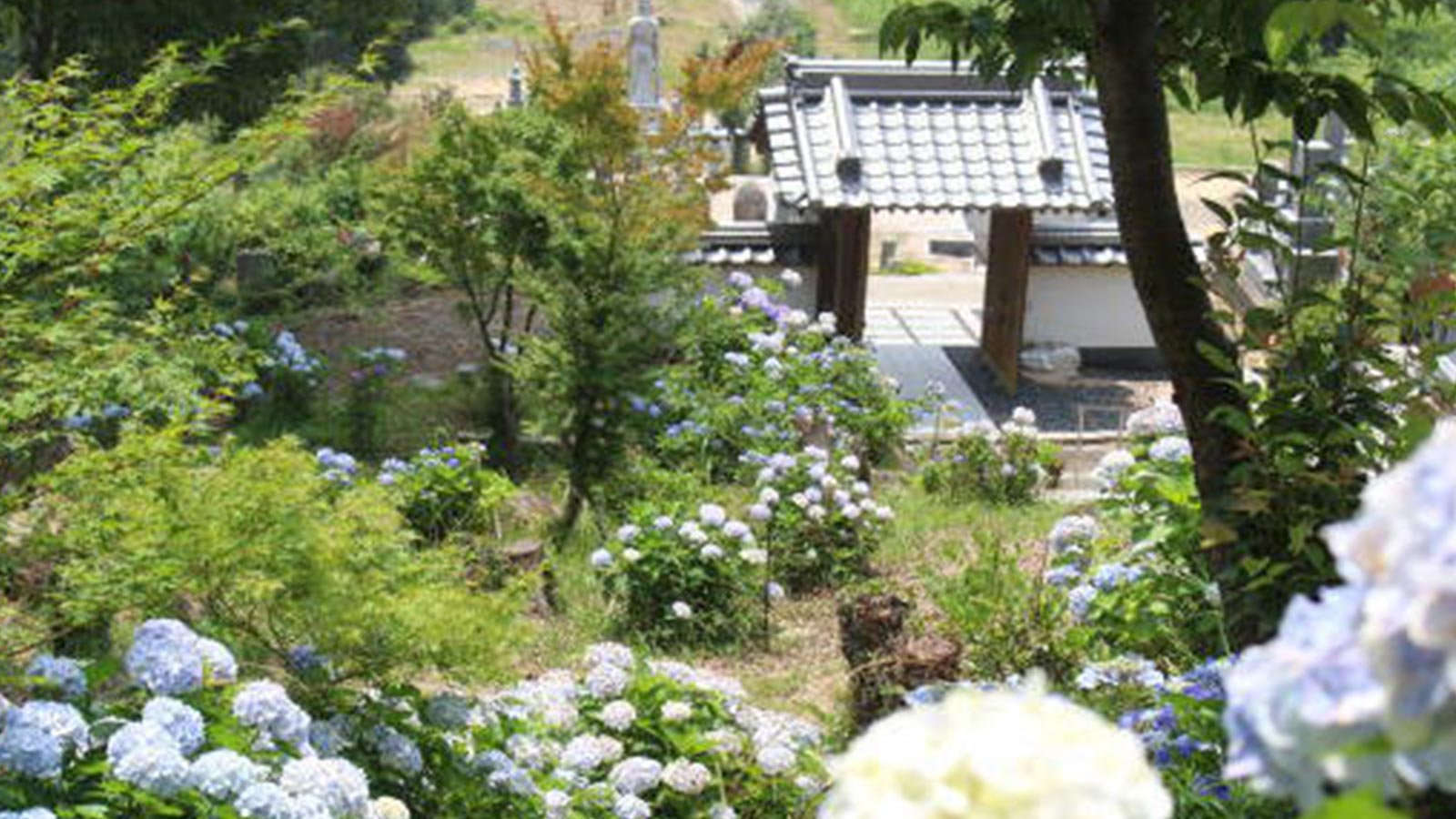 境内とご縁の案内 - 宗教法人 真照院