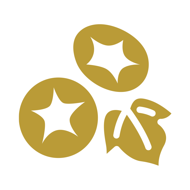 TOP - 宗教法人 真照院