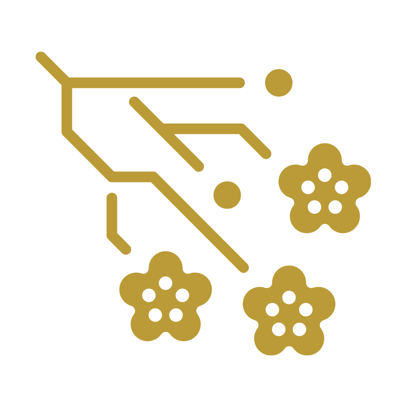 TOP - 宗教法人 真照院