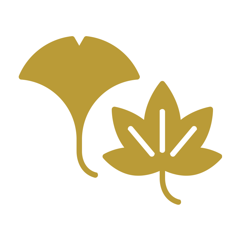 TOP - 宗教法人 真照院