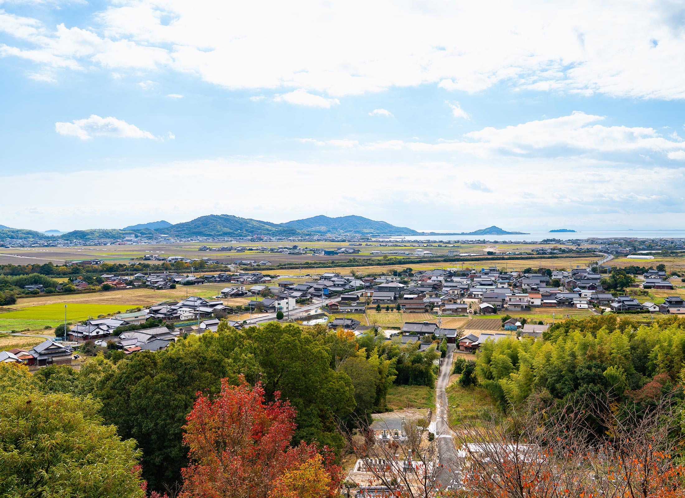 TOP - 宗教法人 真照院