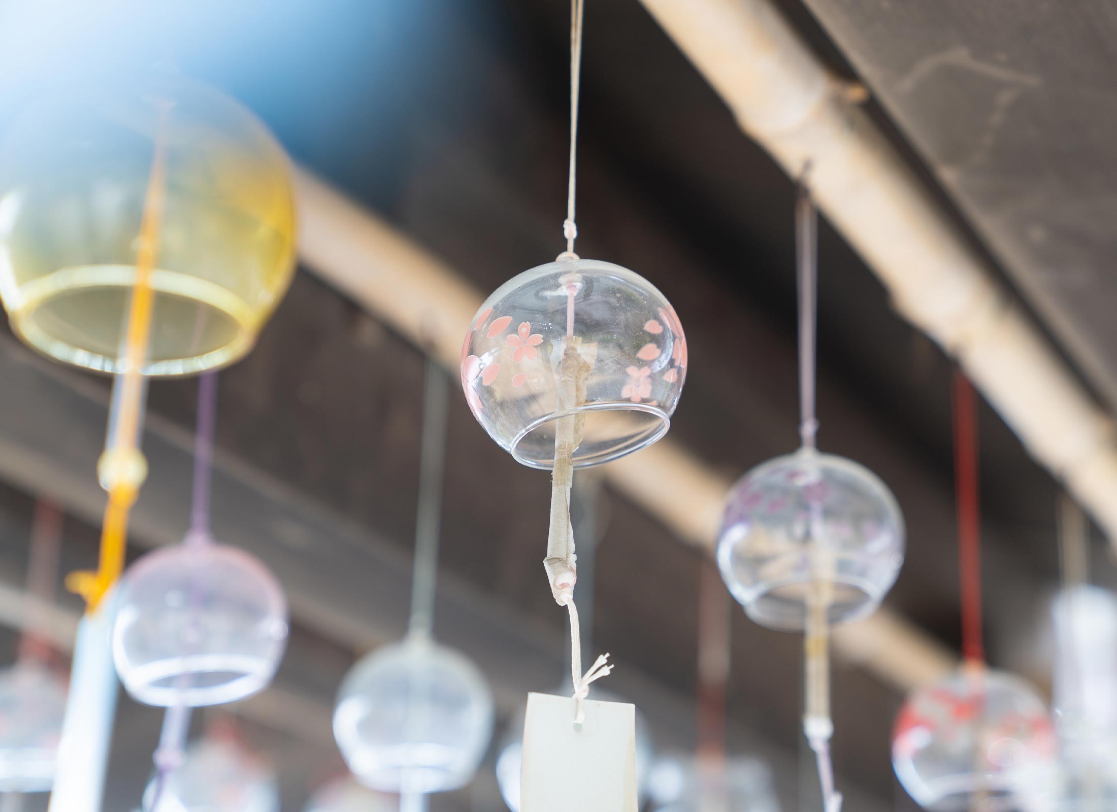 年間行事 - 宗教法人 真照院