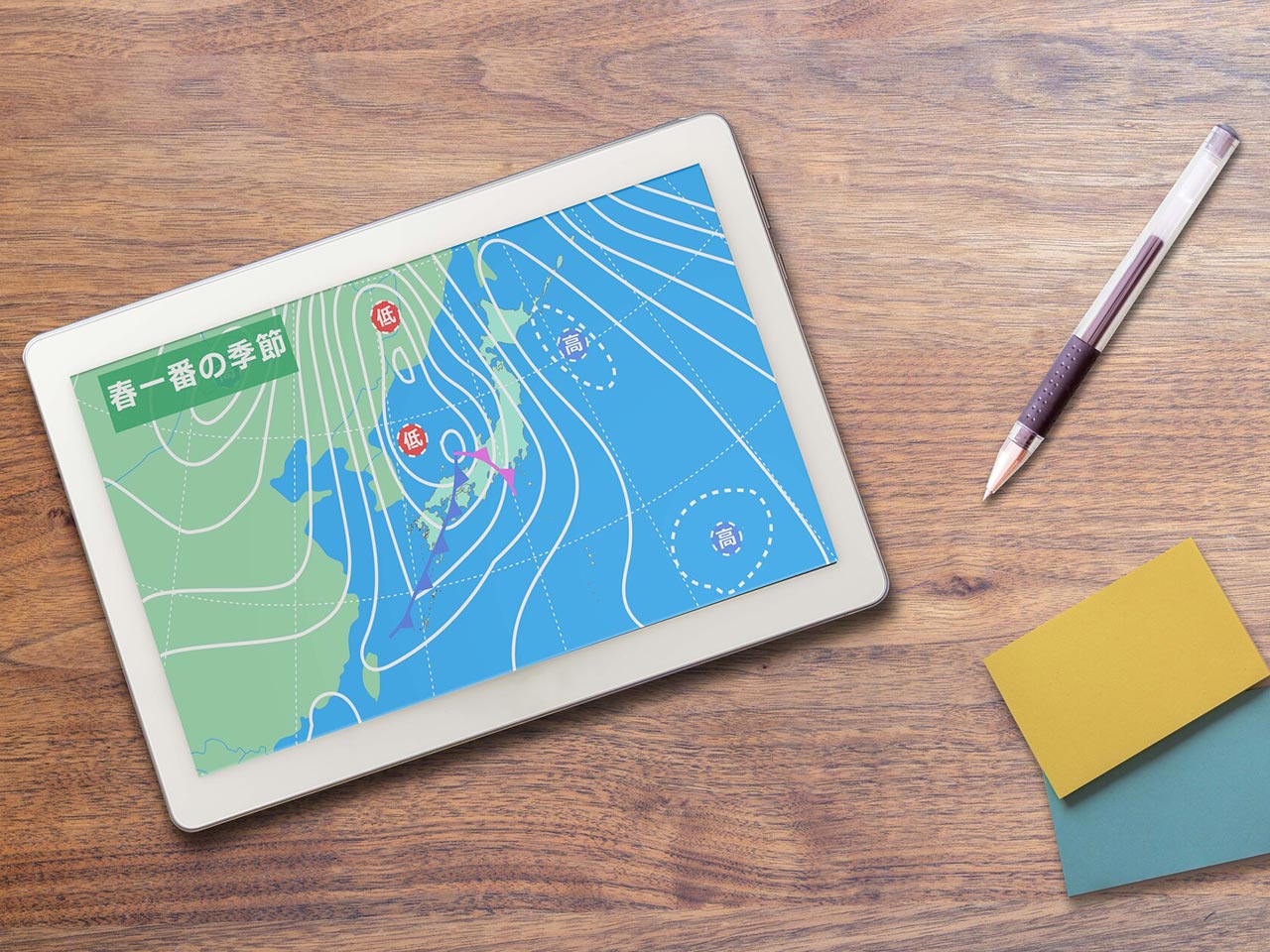 ウェディングフォト - 大竹 駿二