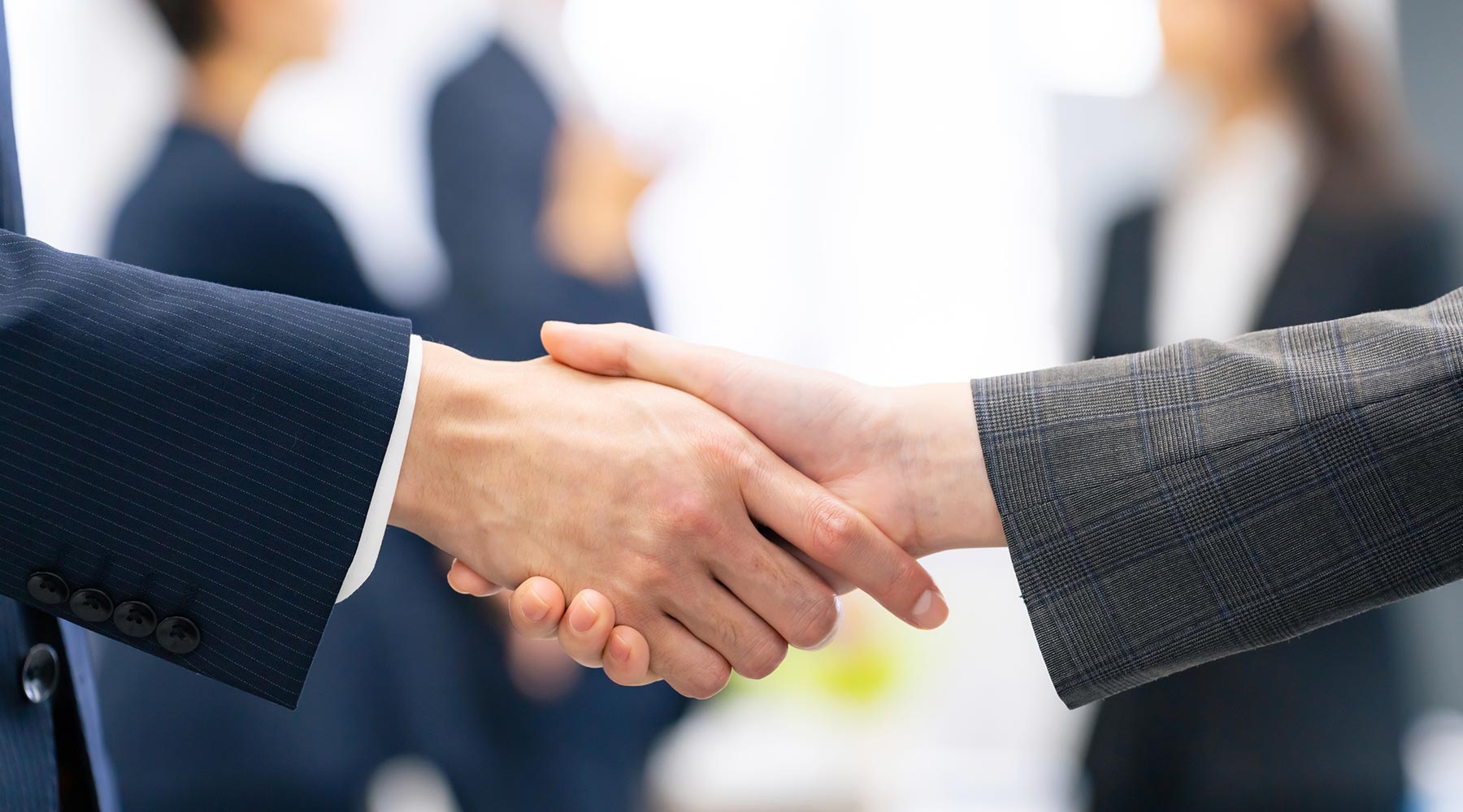 税理士業 - 税理士法人HAL