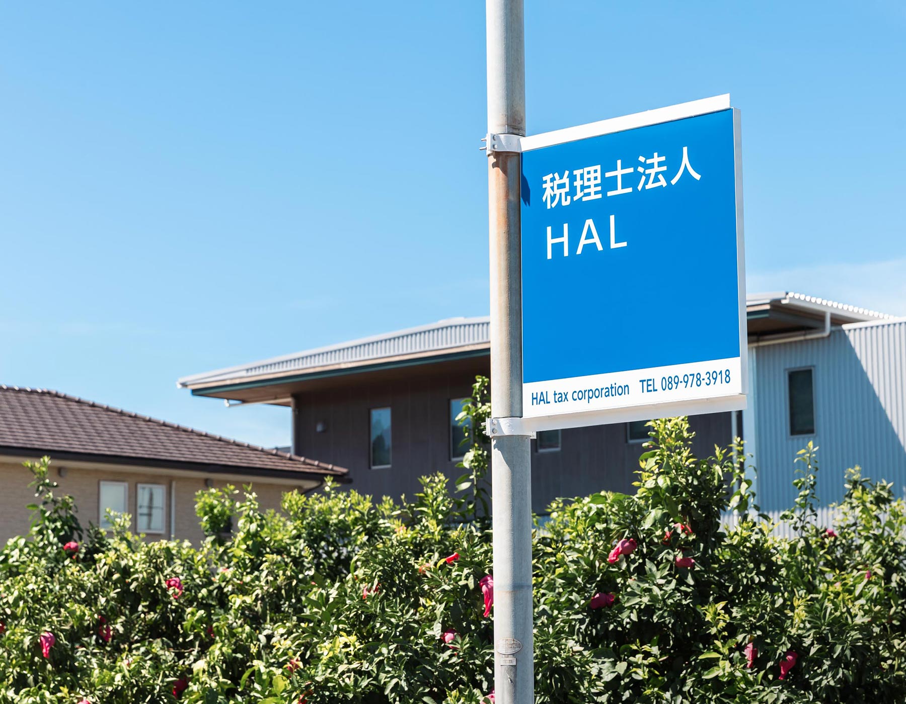 税理士業 - 税理士法人HAL