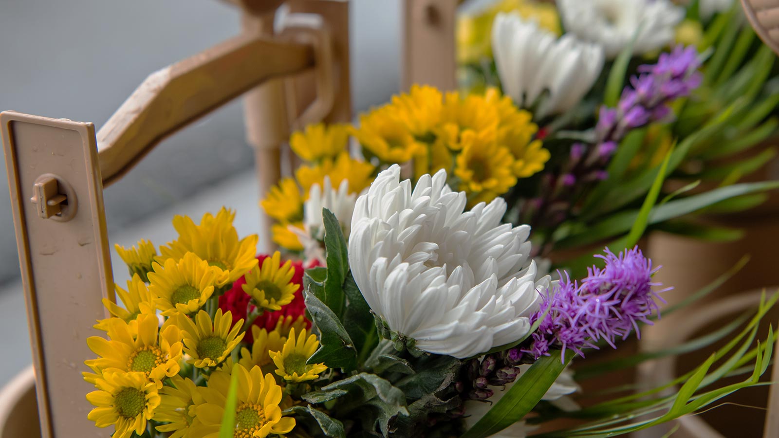 TOP - 宗教法人光西寺