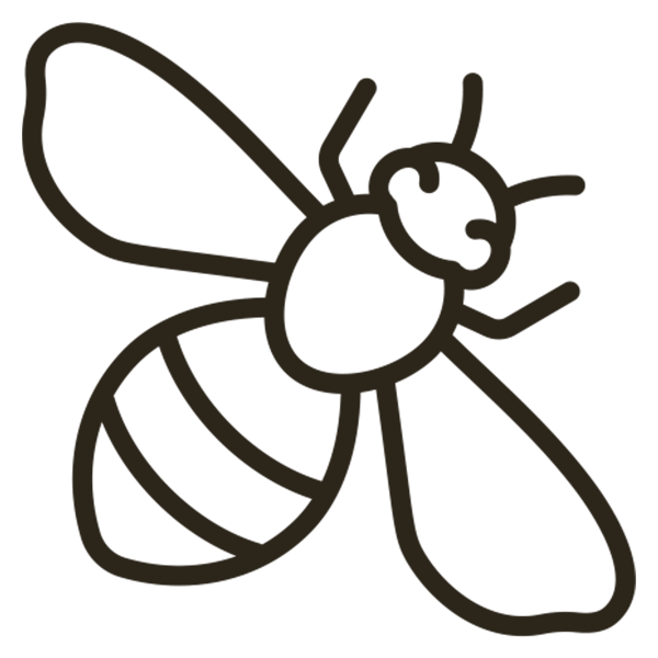 森のめぐみ - はちみつしろう