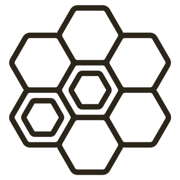 森のめぐみ - はちみつしろう