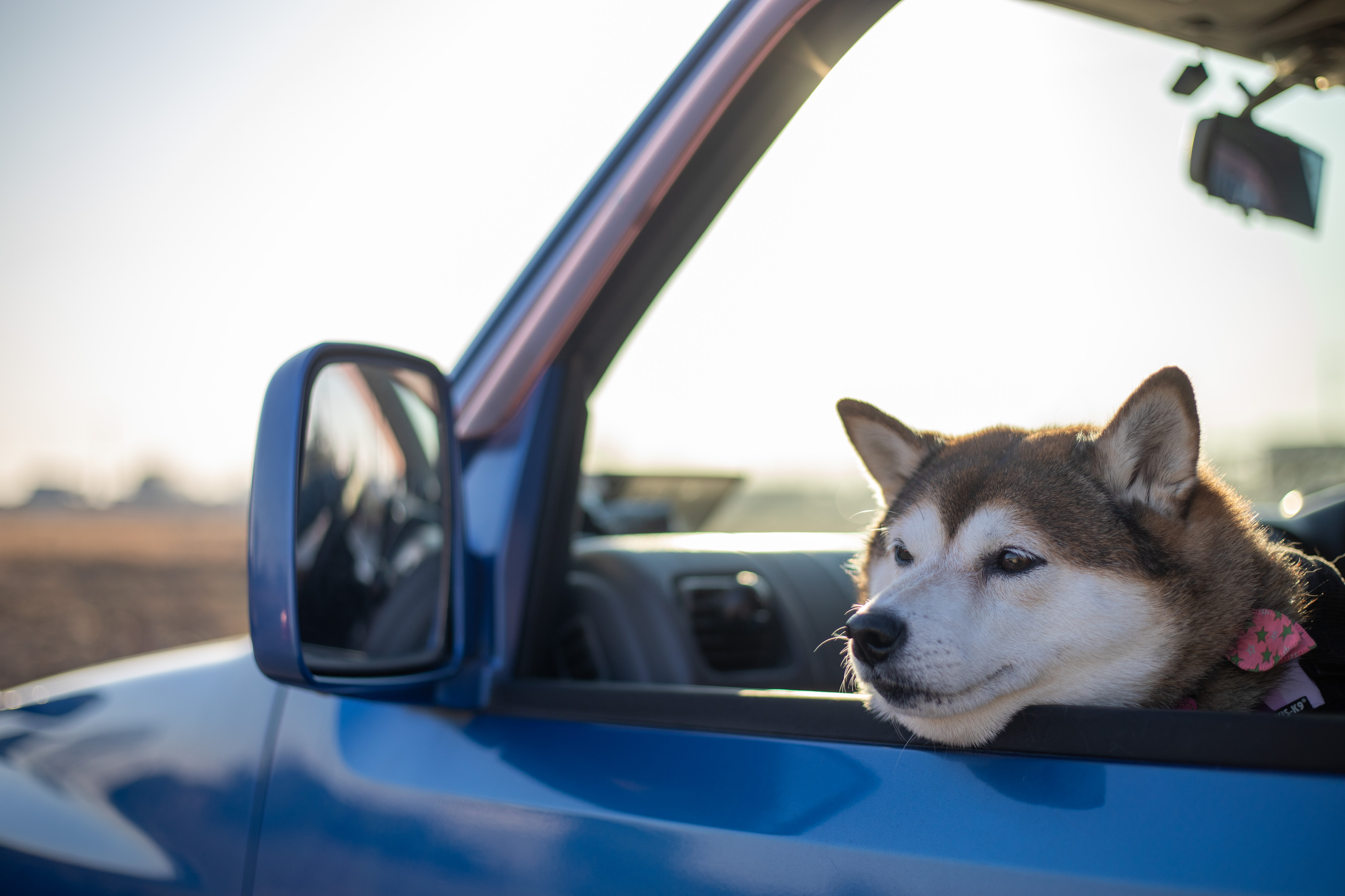 外構工事サービス - 尾花工業