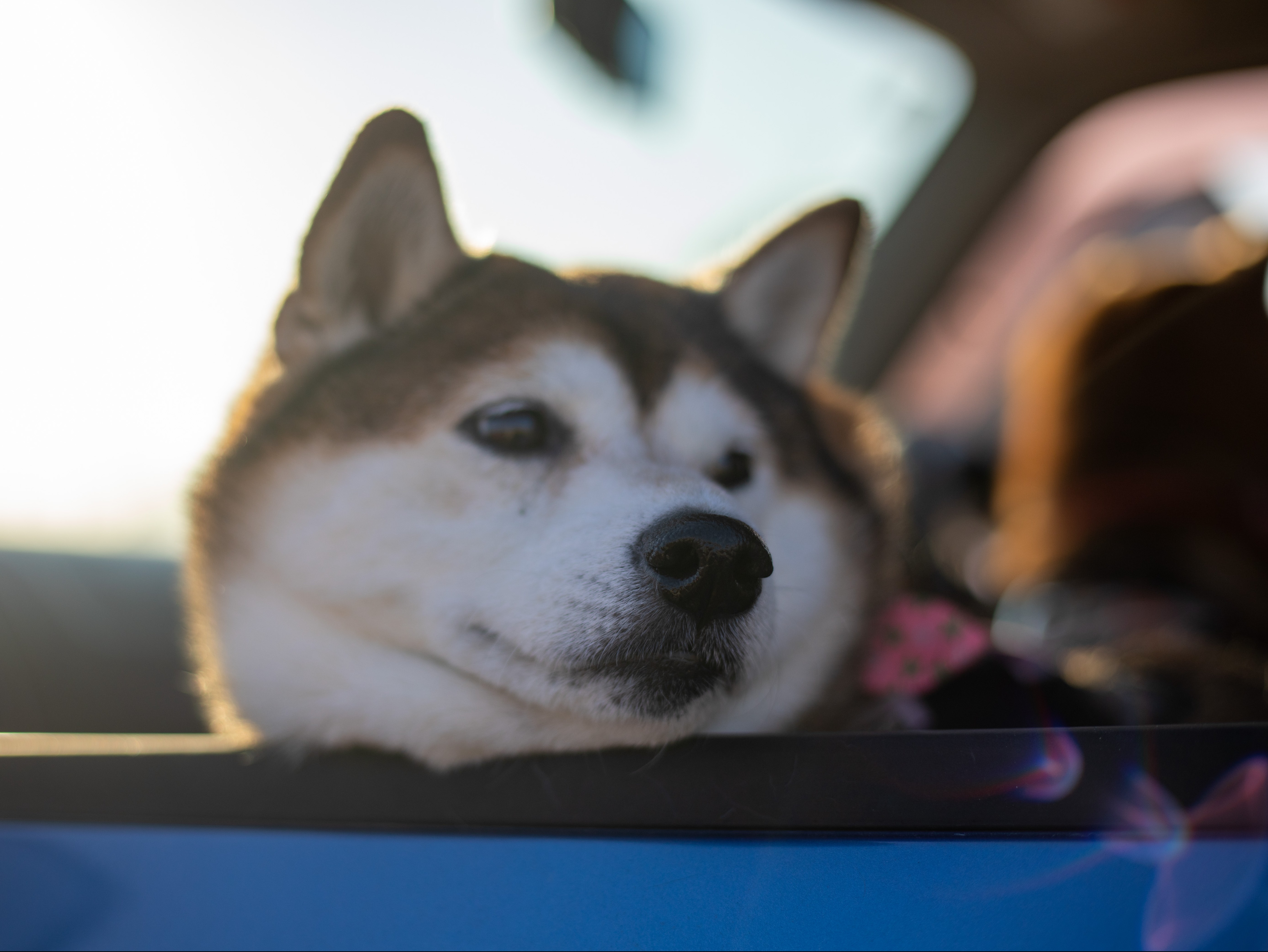 外構工事サービス - 尾花工業