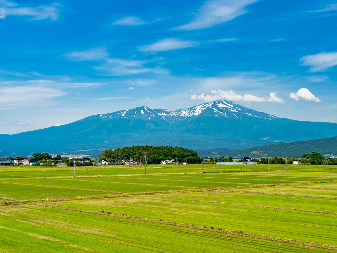 ドローン事業 - そらァード
