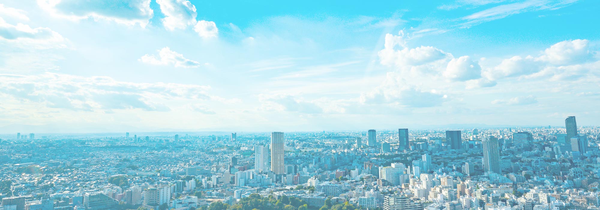 顧問税理士 - 税理士法人 みらい会計