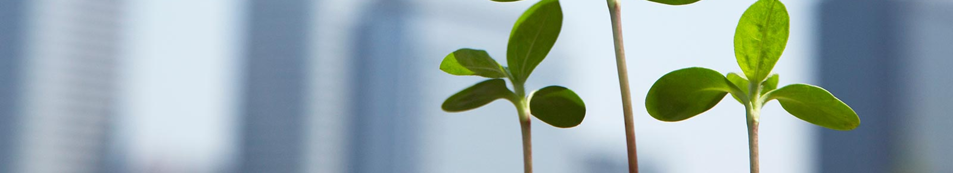 TOP - 株式会社ＨＡＧＩ１１