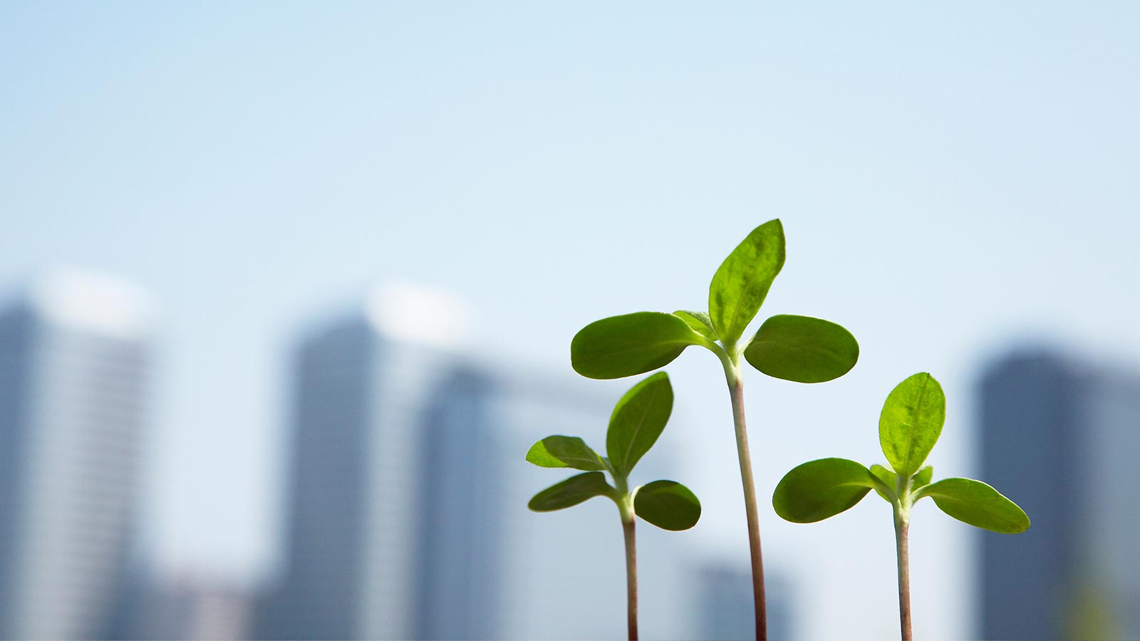 Webサイト制作 - 合同会社Flow Design ASBL