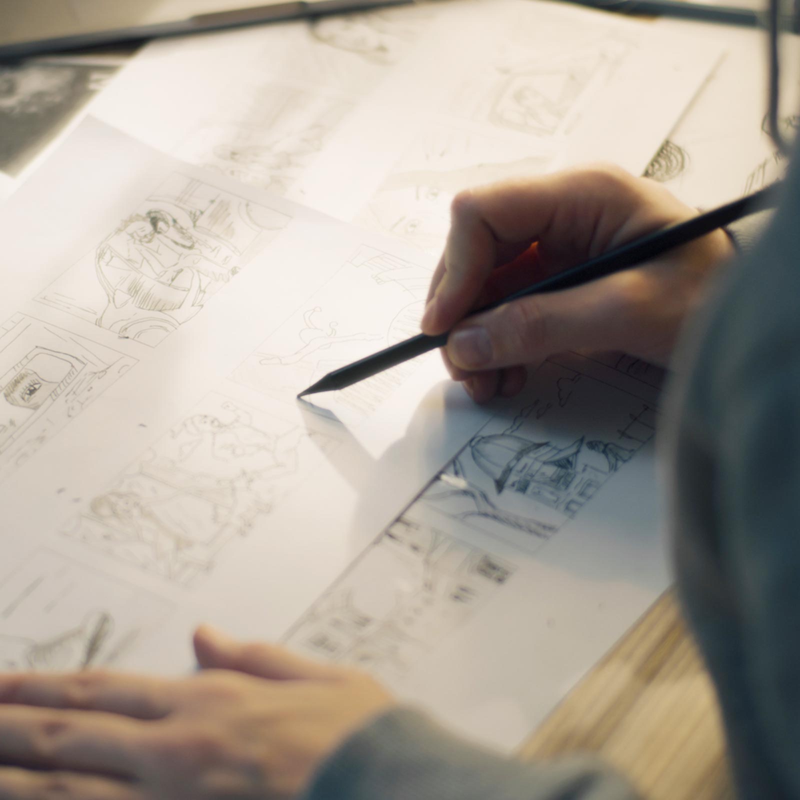 映像制作 - ハヤシマル合同会社