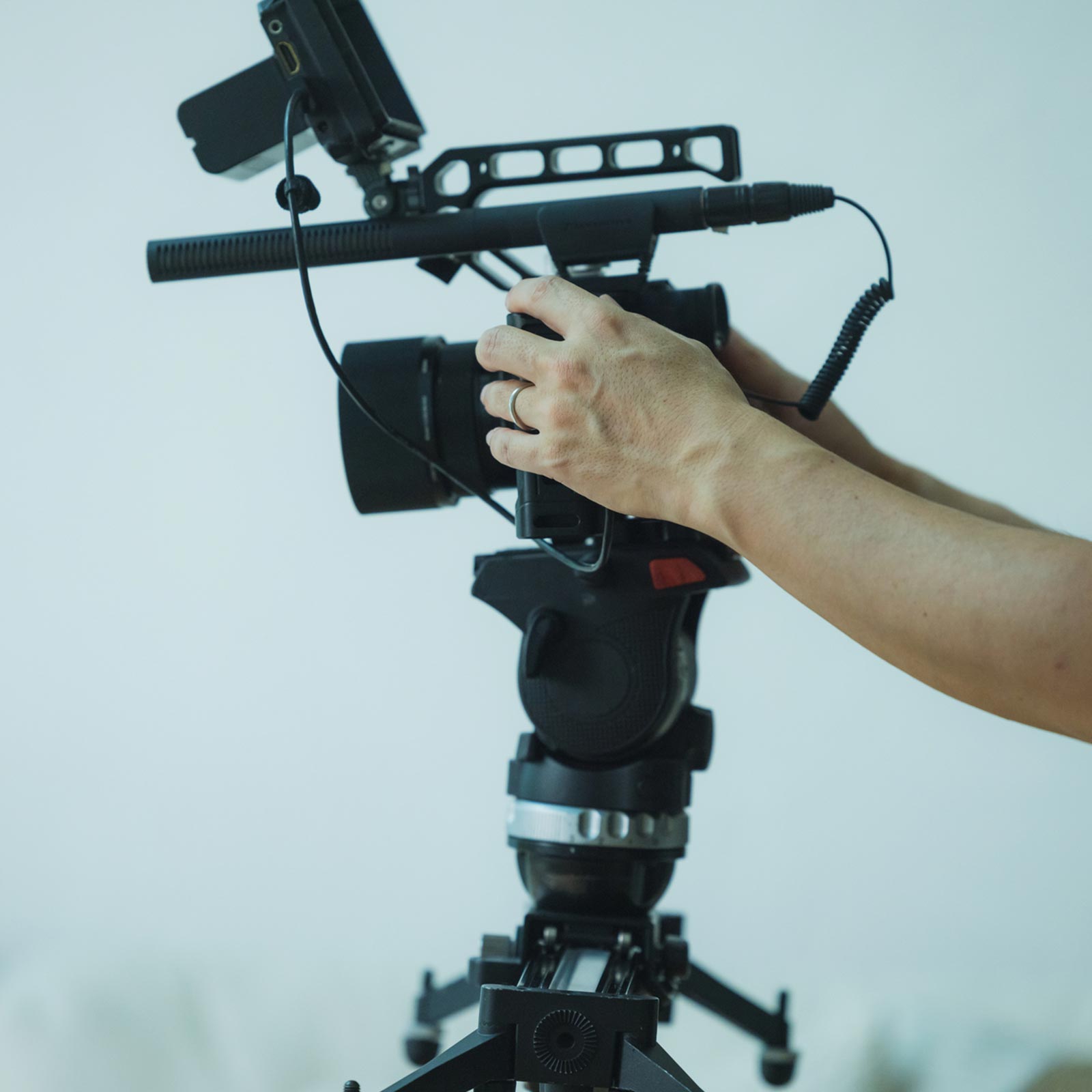 ブランディング動画 - hatoカメラ