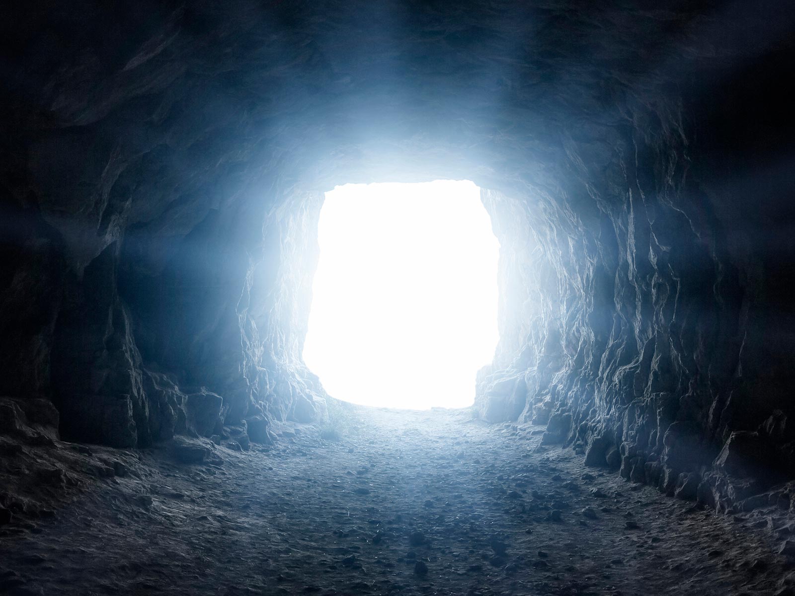 動画製作 - 株式会社CORNER