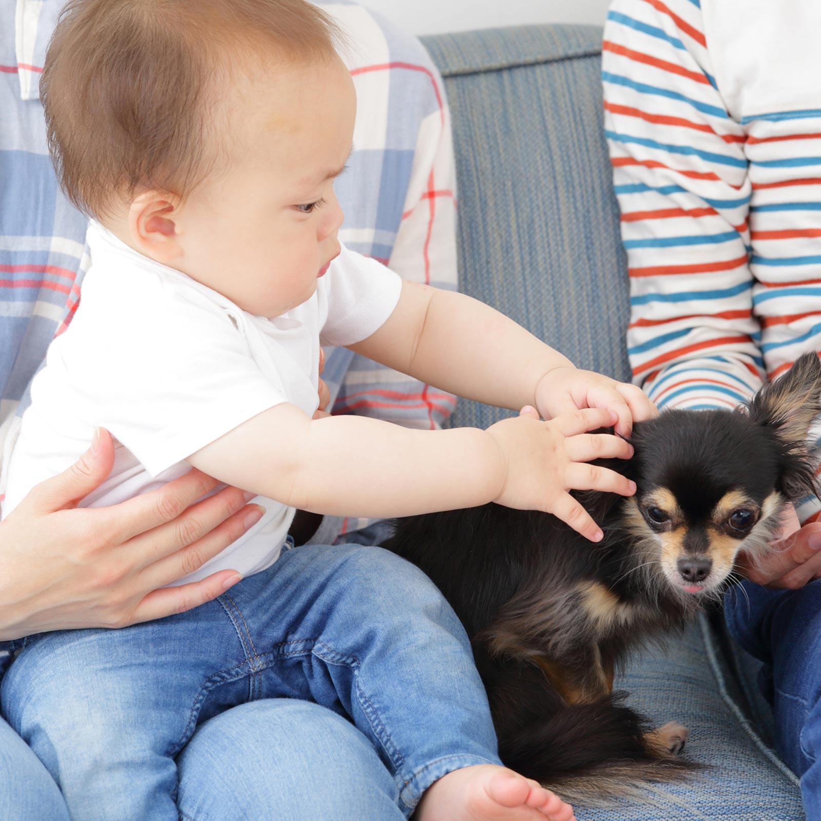 TOP - 合同会社ワイアイブルーム