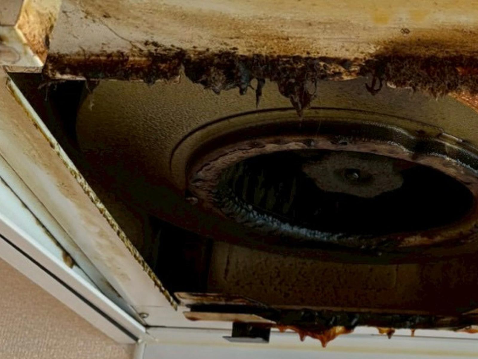 TOP - 合同会社ワイアイブルーム