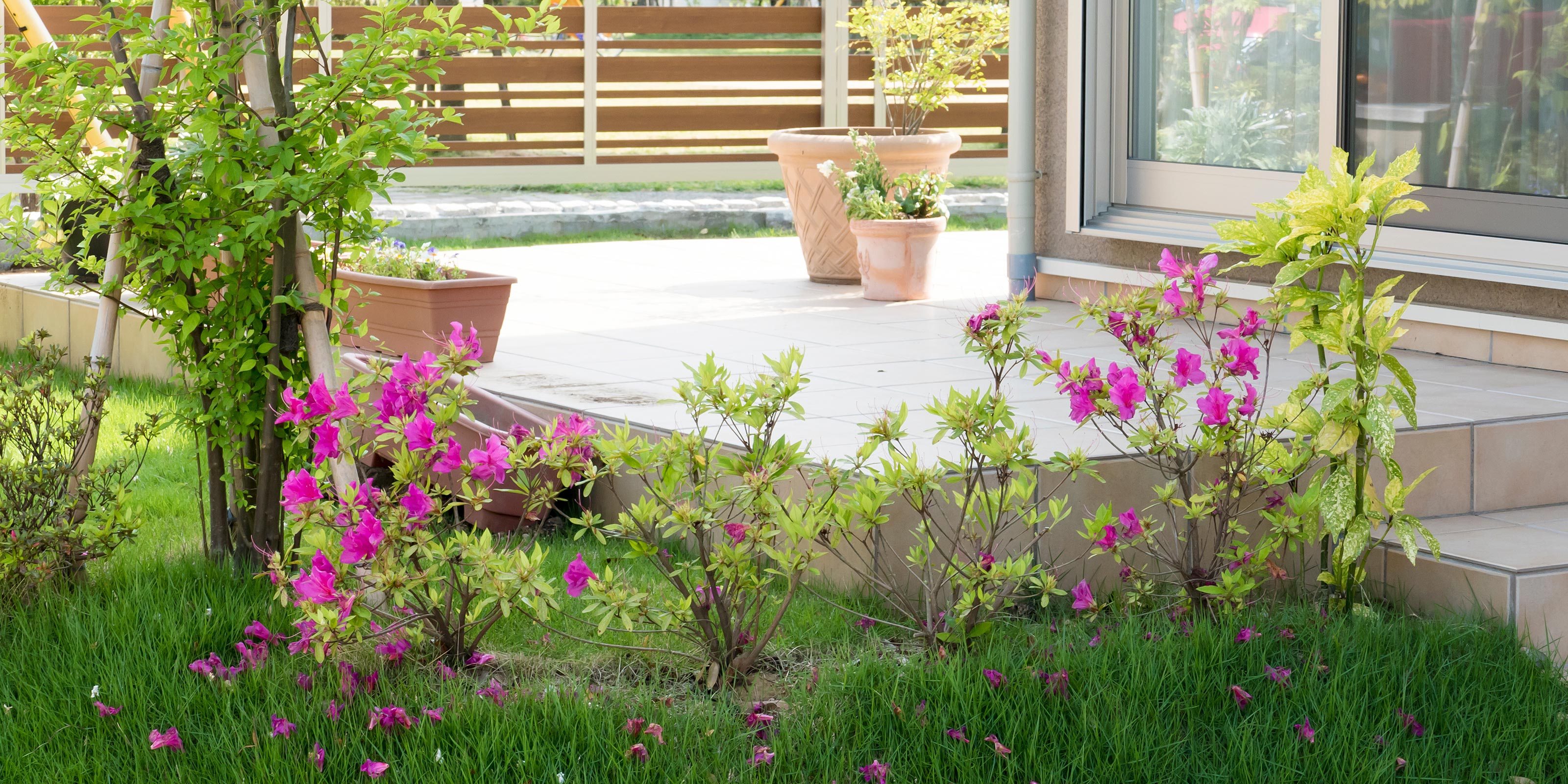 TOP - SOIL GARDEN