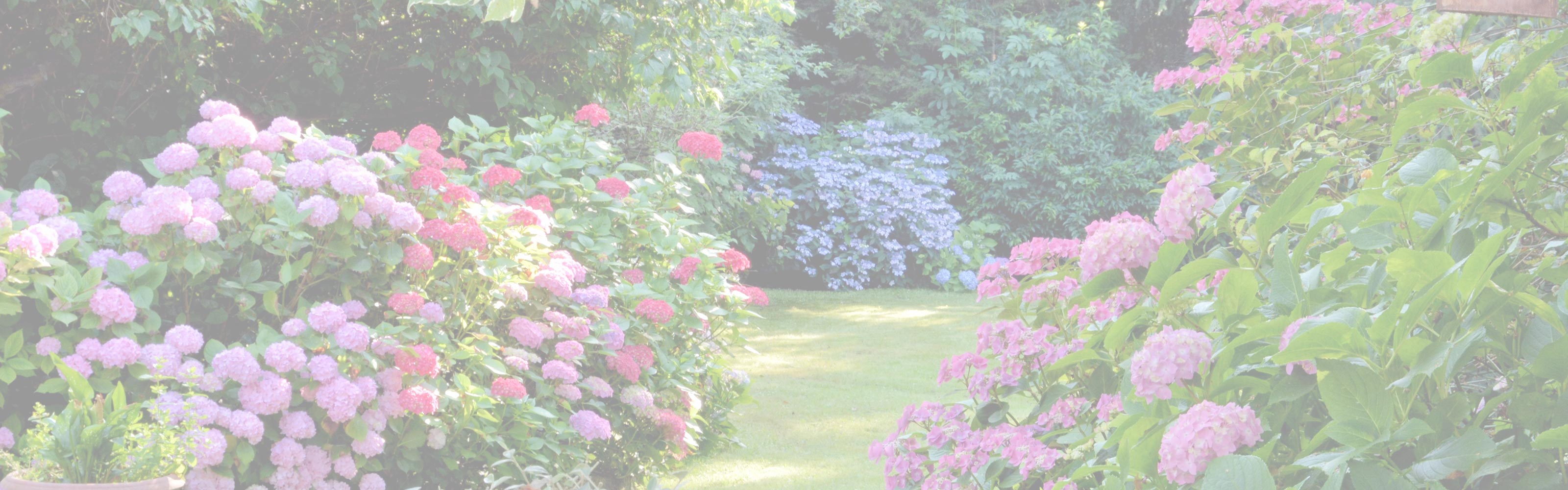 私たちの想い - SOIL GARDEN
