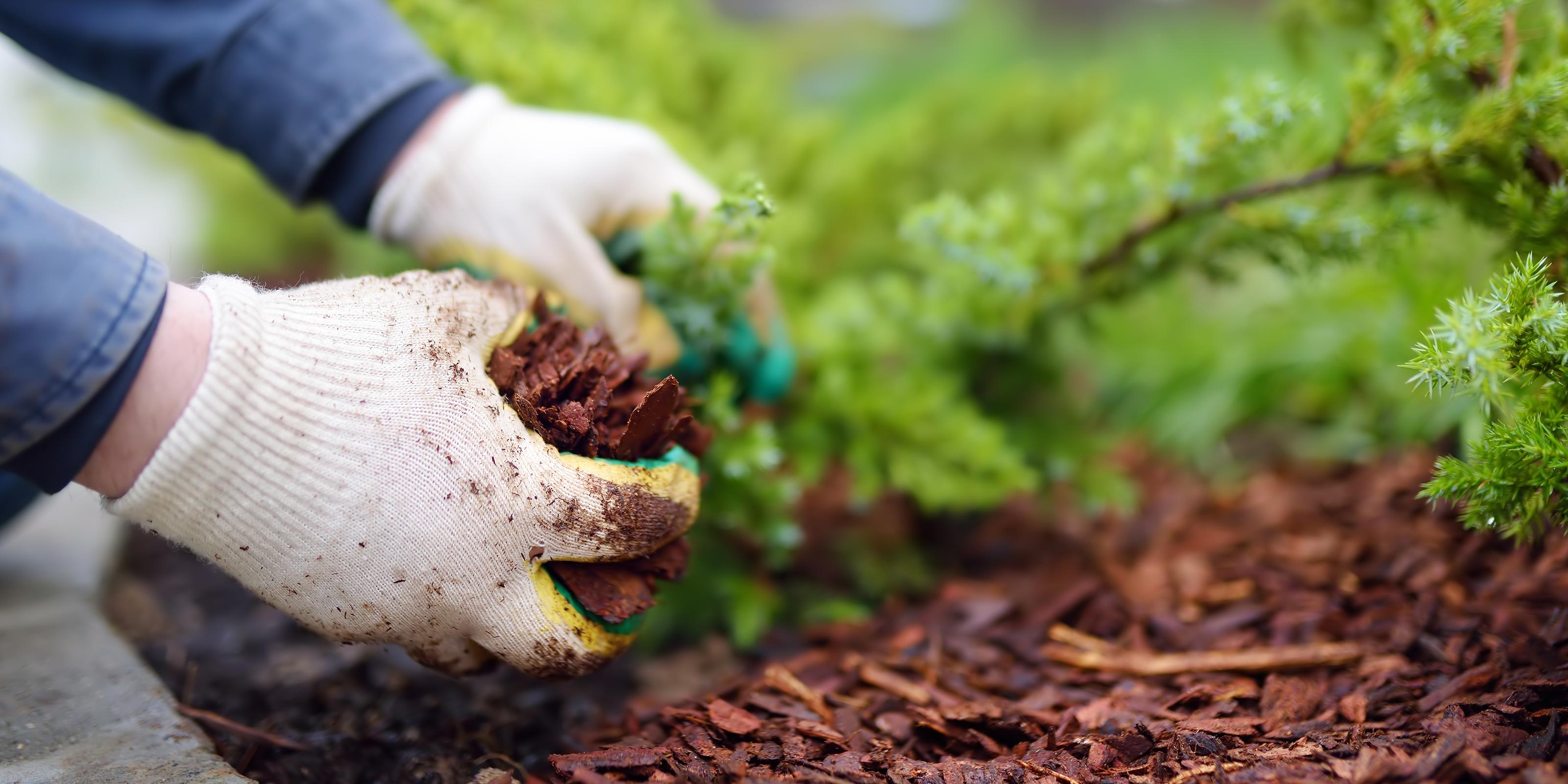 TOP - SOIL GARDEN