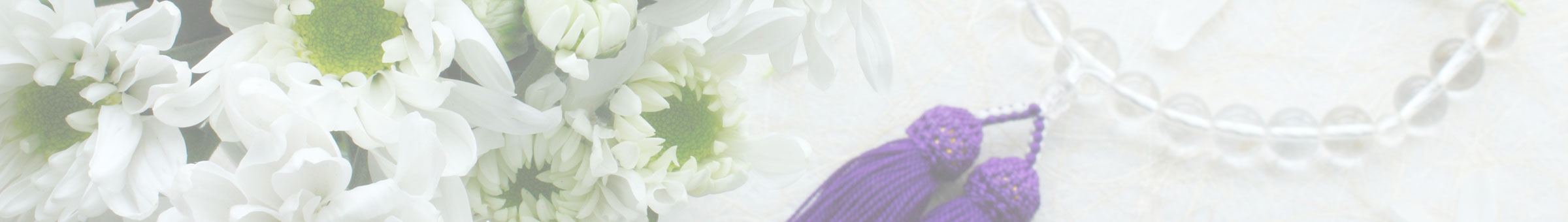 私たちの強みと実績 - ホワイトロード