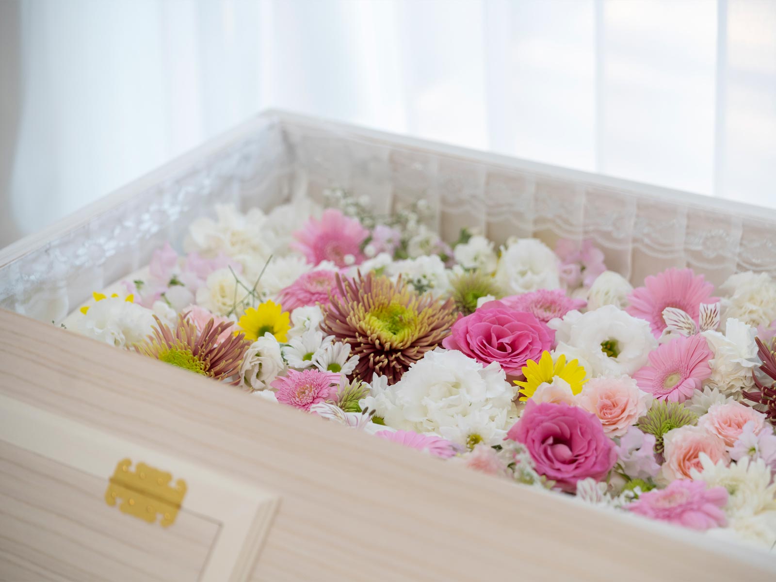 終活・葬儀 - ホワイトロード