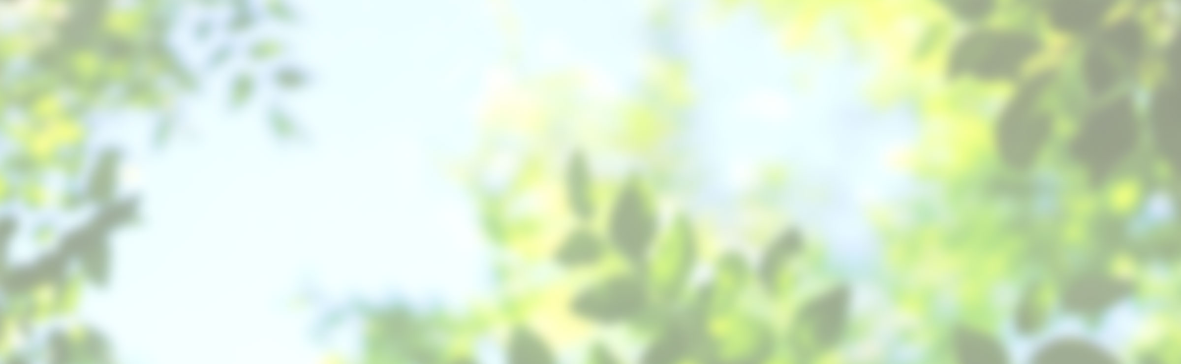 TOP - ホワイトロード