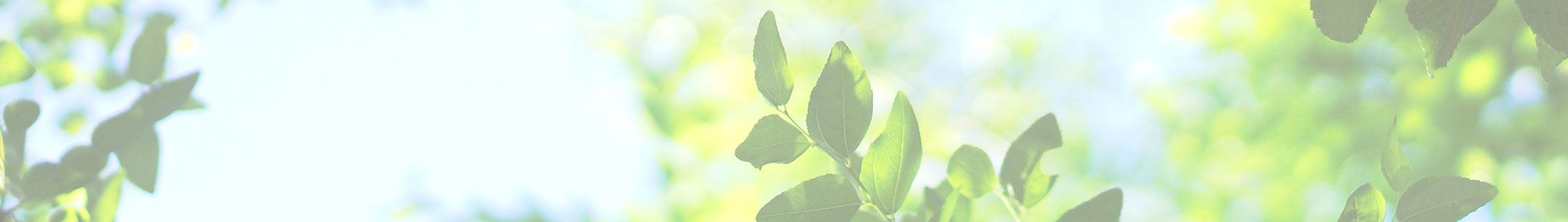 会社概要 - ホワイトロード