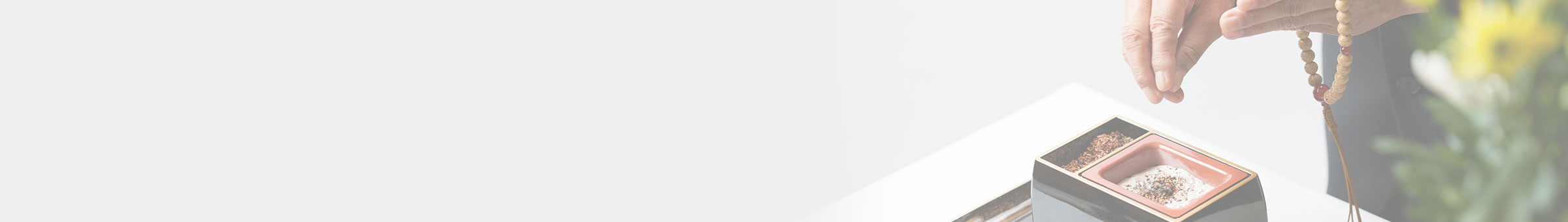 プラン・料金 - ホワイトロード