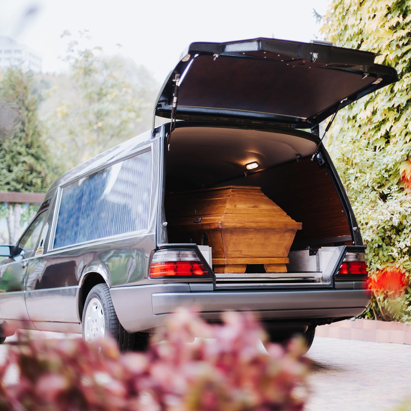 終活・葬儀 - ホワイトロード