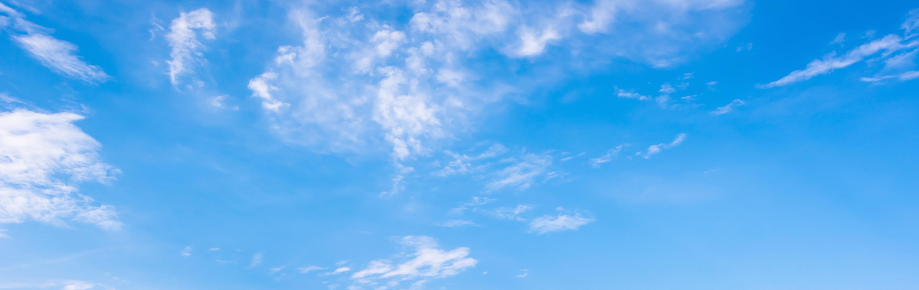 専門性と先進設備 - 株式会社 クラウン動物病院