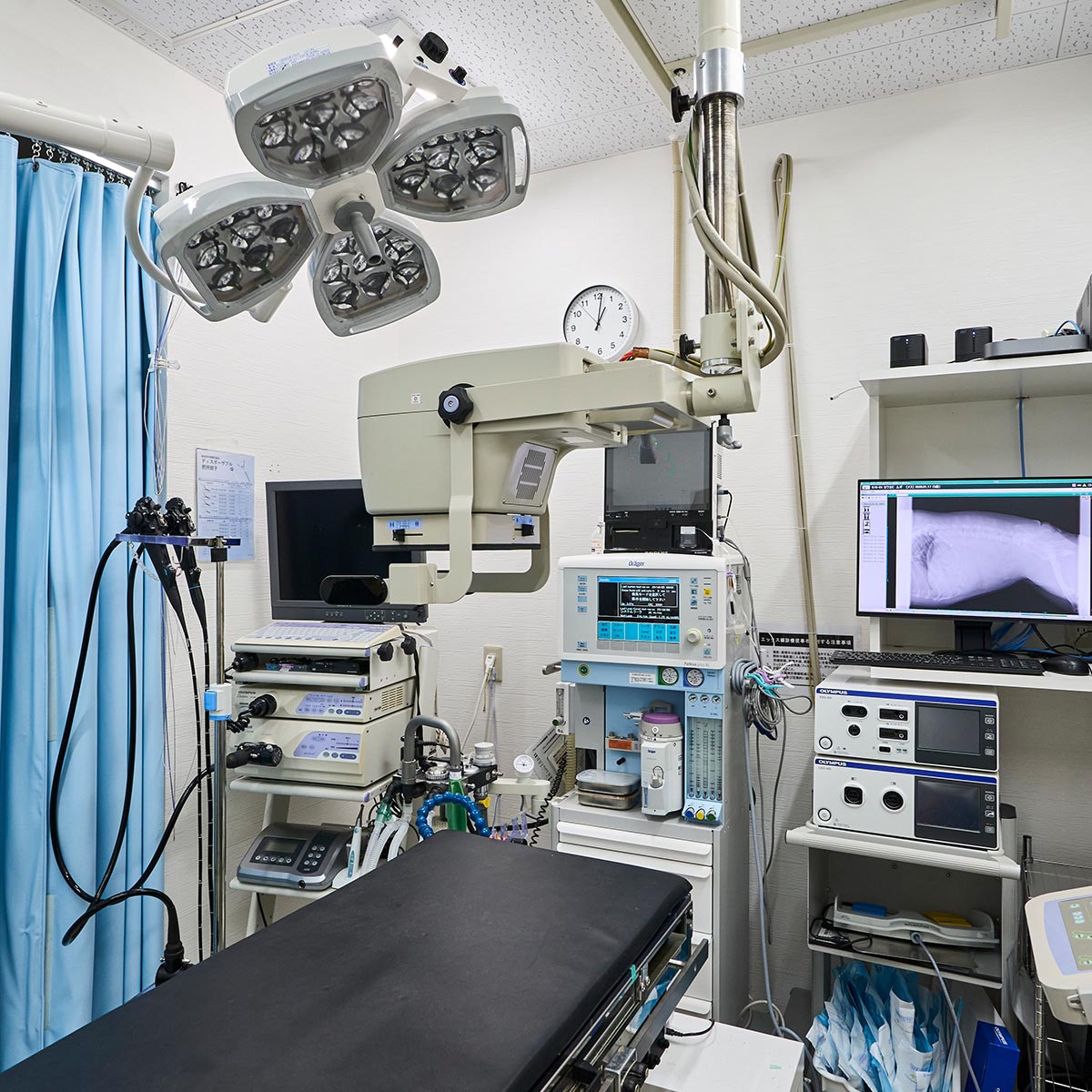 専門性と先進設備 - 株式会社 クラウン動物病院