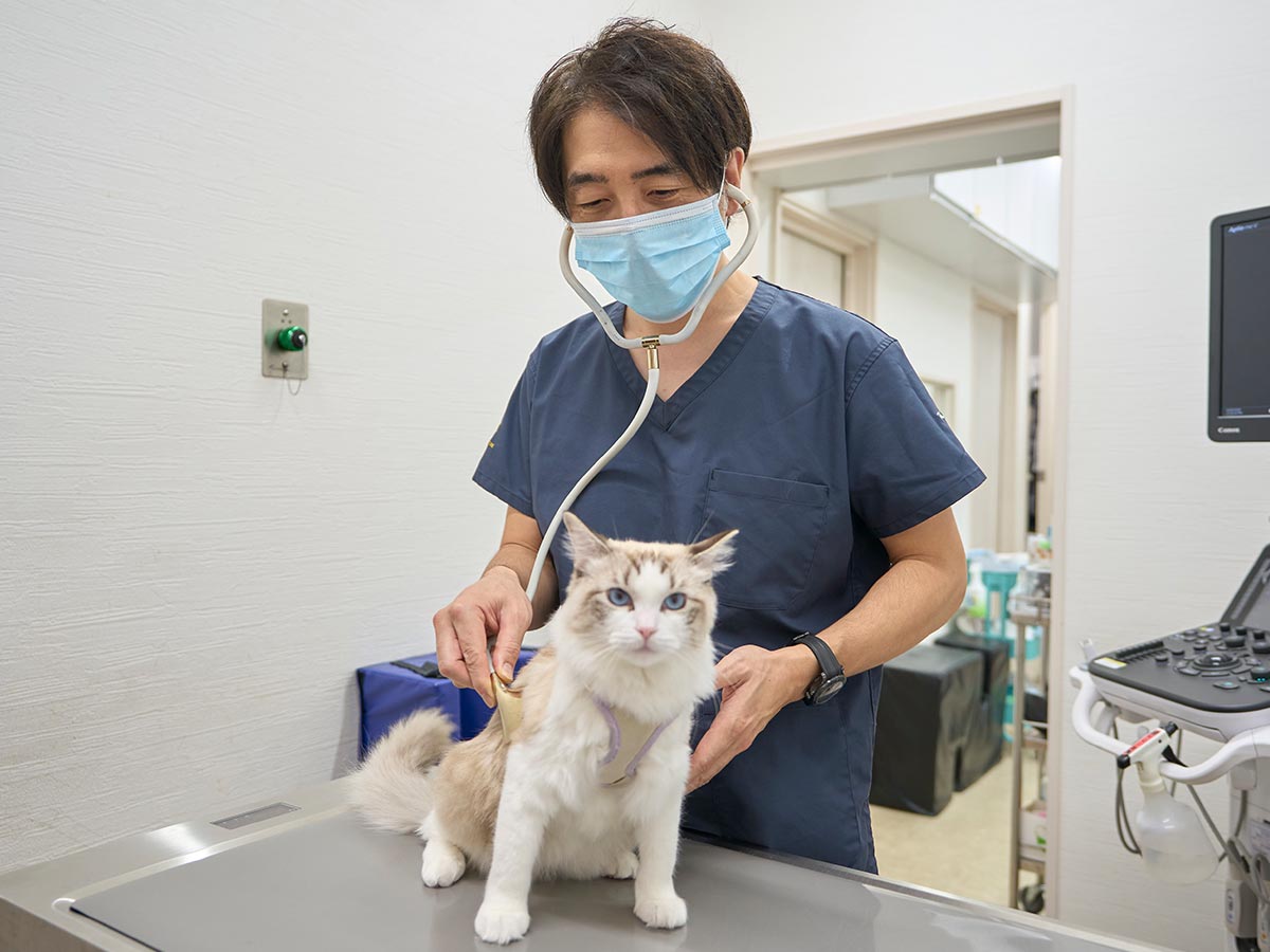 専門性と先進設備 - 株式会社 クラウン動物病院