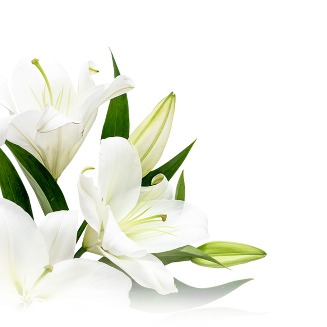 葬儀サービス - セレモニーむそう