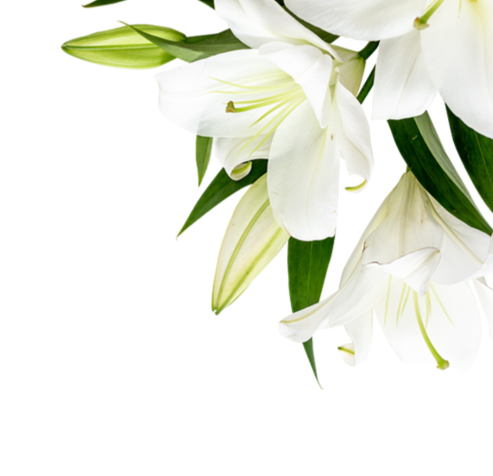 葬儀サービス - セレモニーむそう