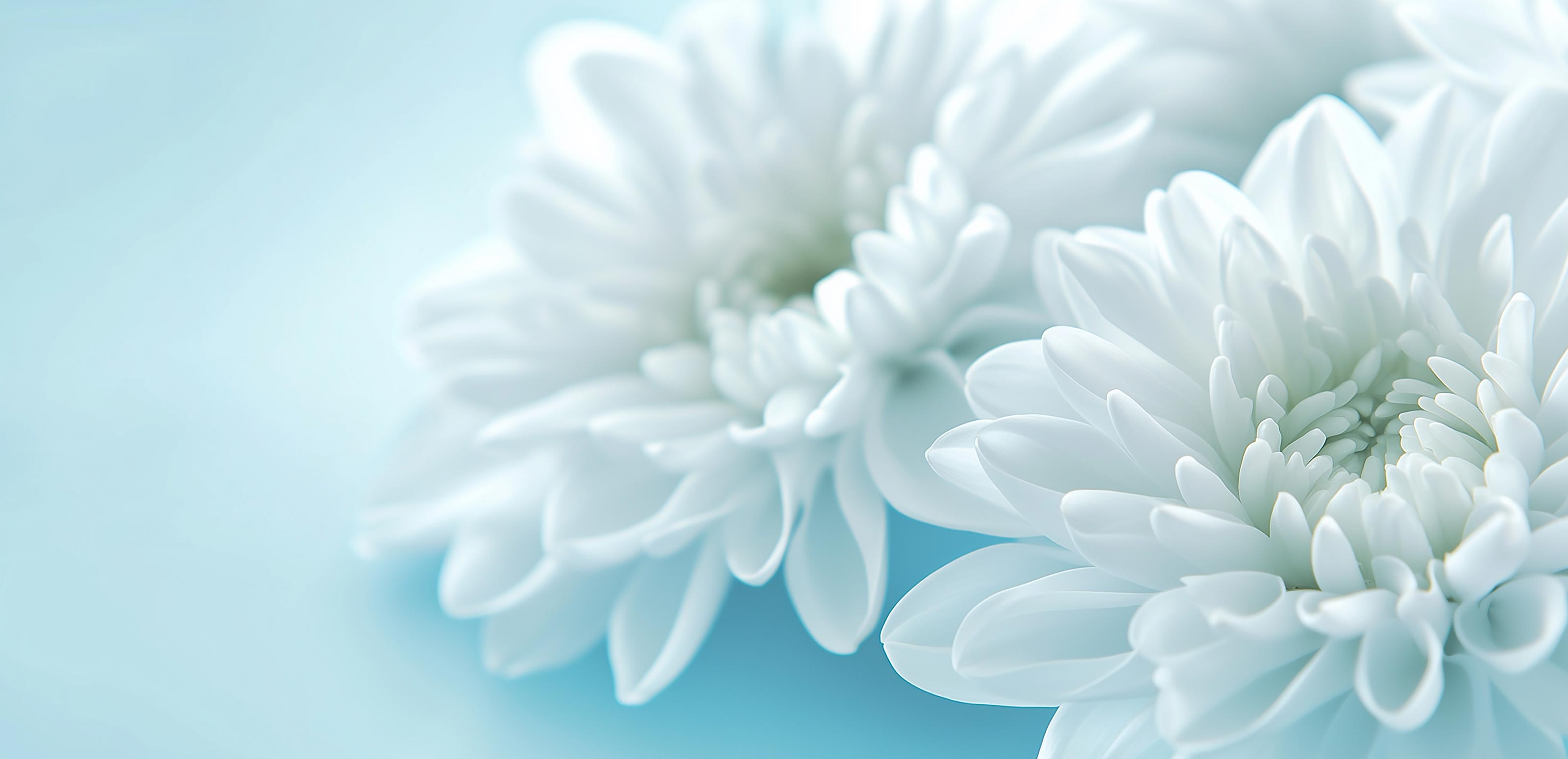 葬儀サービス - セレモニーむそう