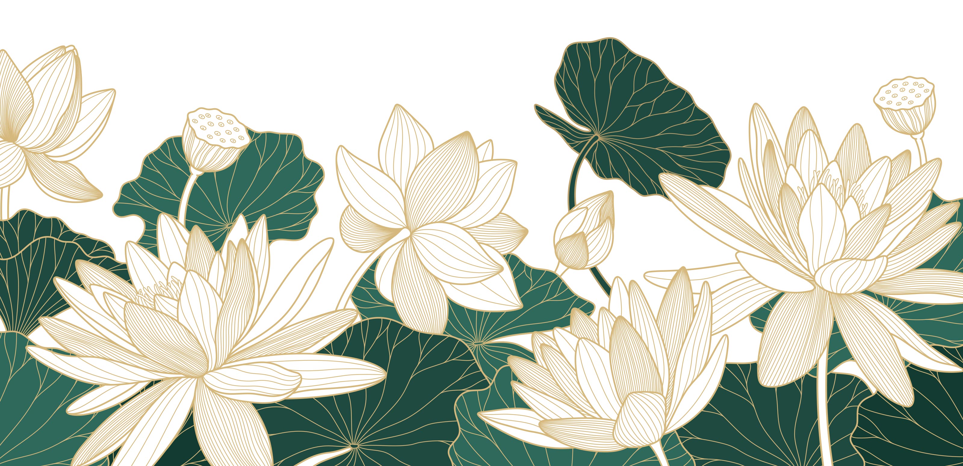 カウンセリング - 宗教法人妙養寺