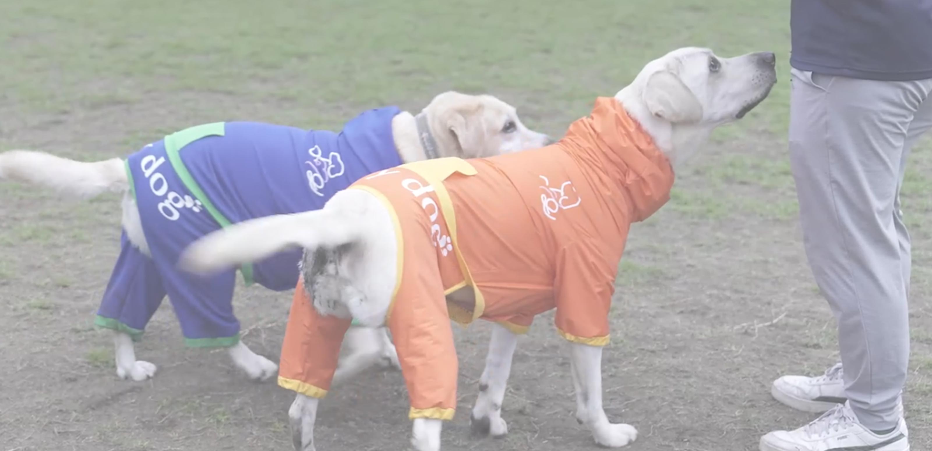 Fuppy dog - Fuppydog