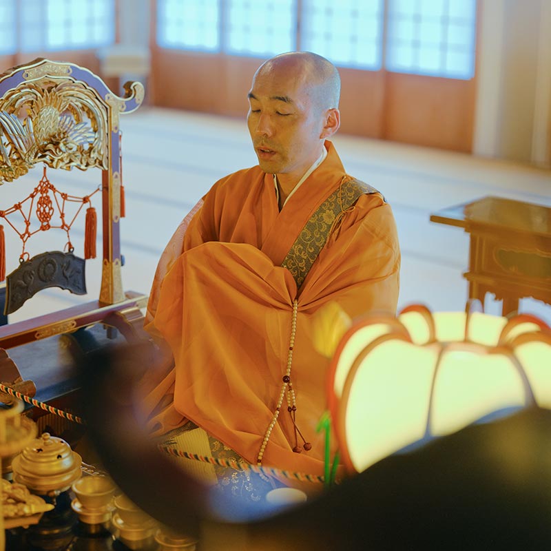 TOP - 覚王寺