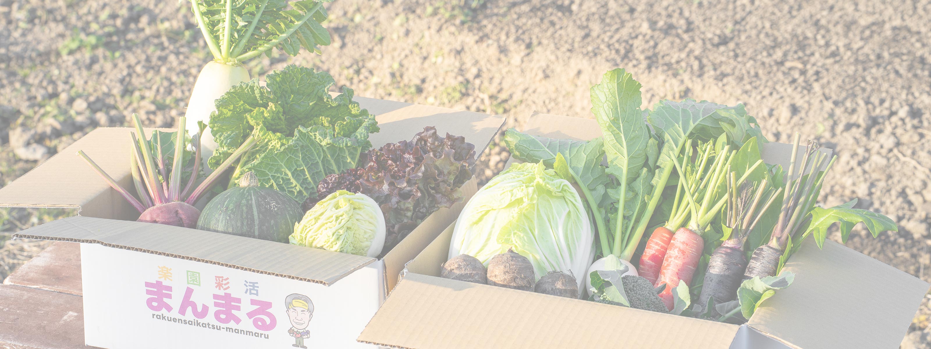 野菜の生産販売 - 楽園彩活まんまる