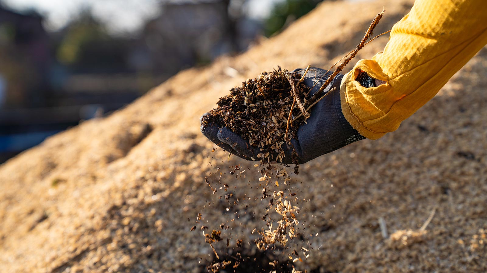 野菜の生産販売 - 楽園彩活まんまる