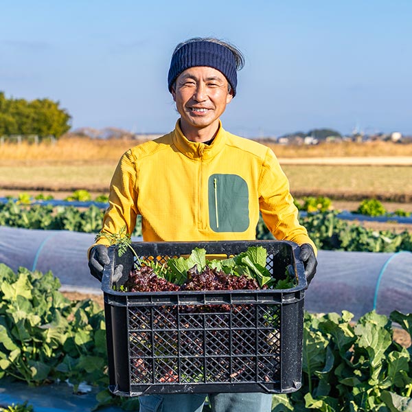 野菜の生産販売 - 楽園彩活まんまる