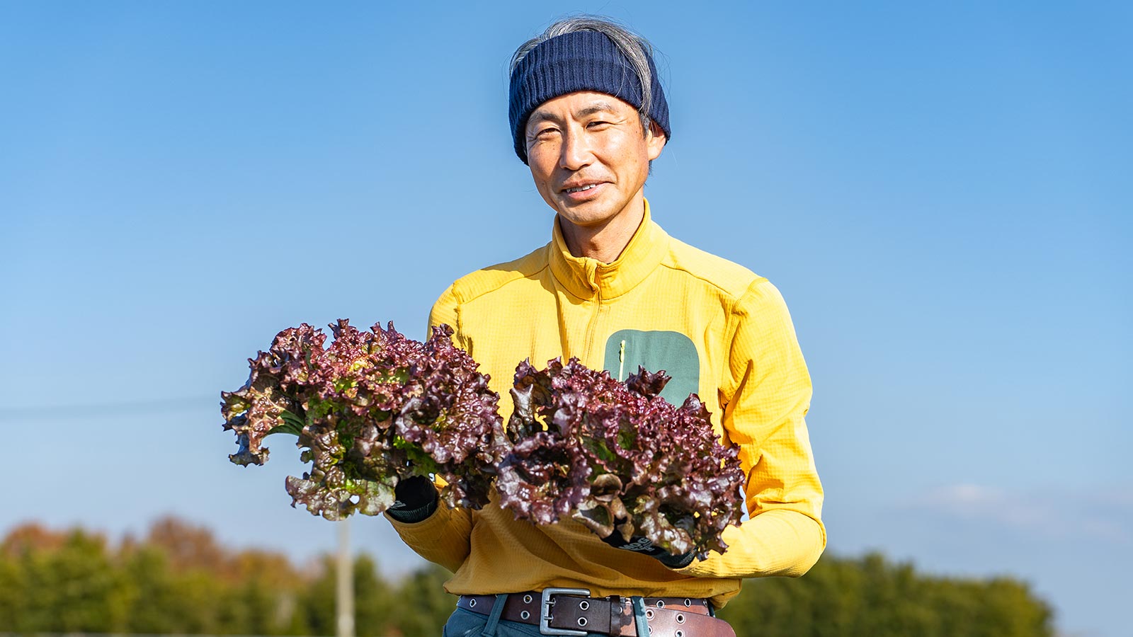 野菜の生産販売 - 楽園彩活まんまる